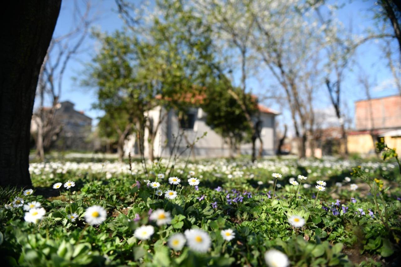 Nicolaus Hidden Gem Villa Shkodër Exterior foto