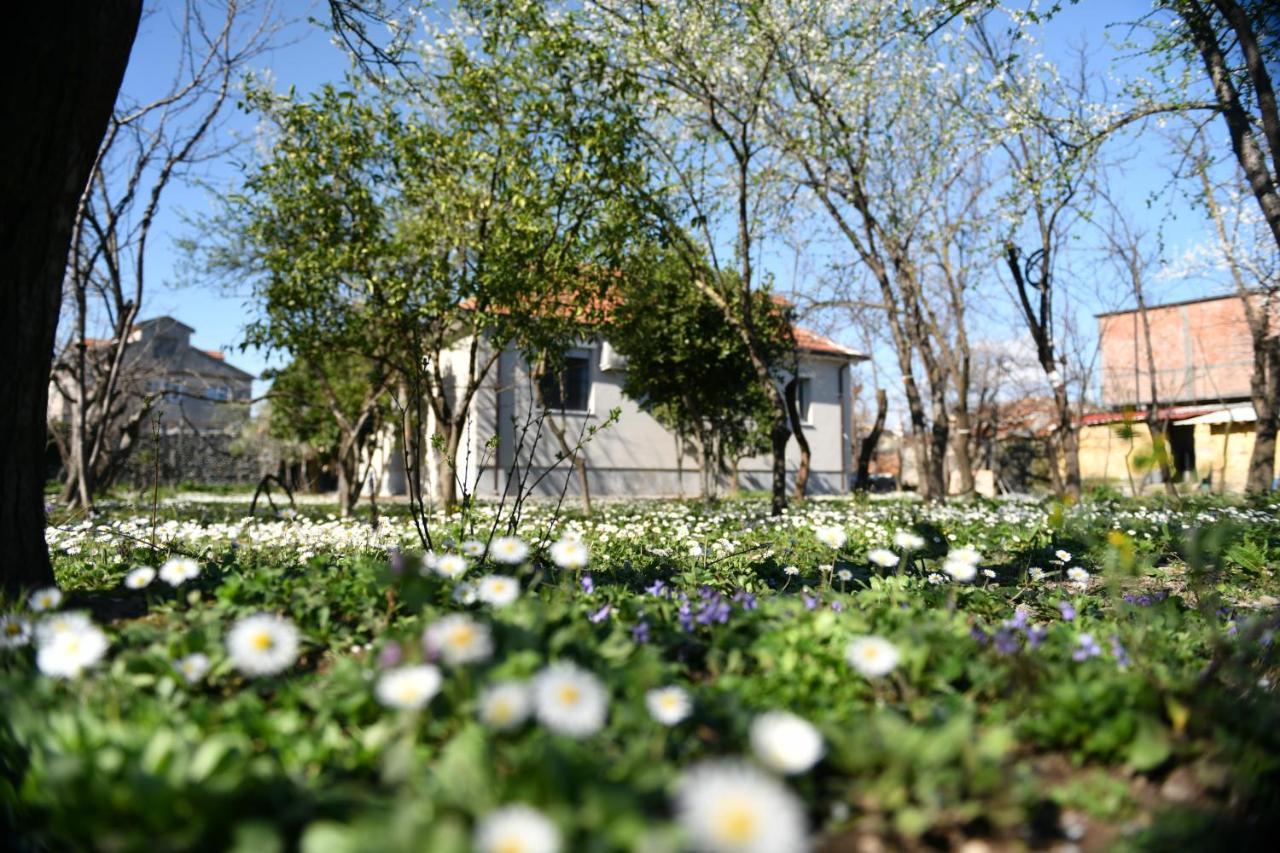 Nicolaus Hidden Gem Villa Shkodër Exterior foto