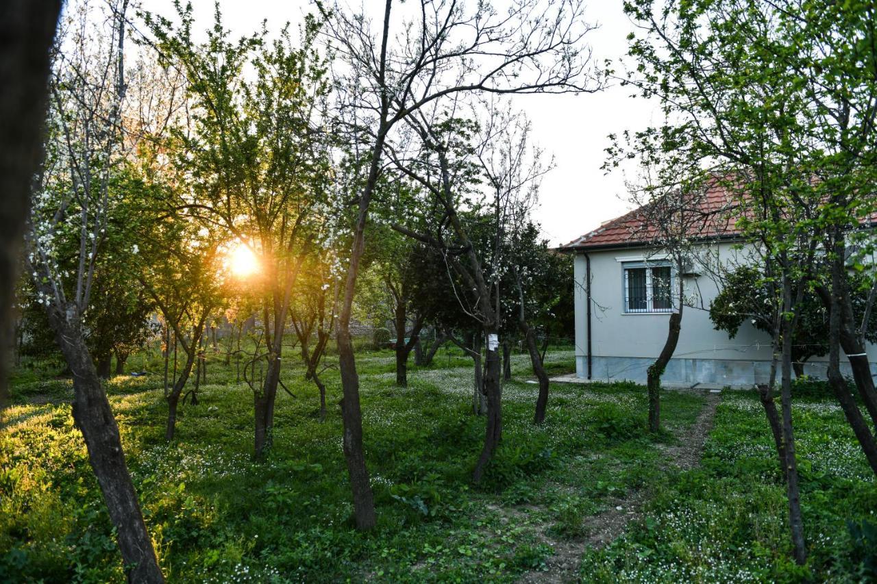 Nicolaus Hidden Gem Villa Shkodër Exterior foto