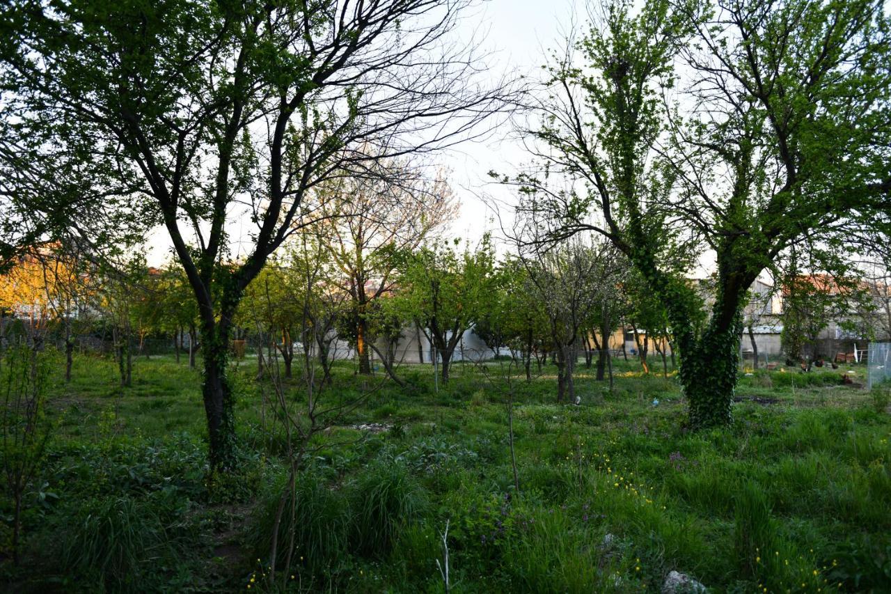 Nicolaus Hidden Gem Villa Shkodër Exterior foto