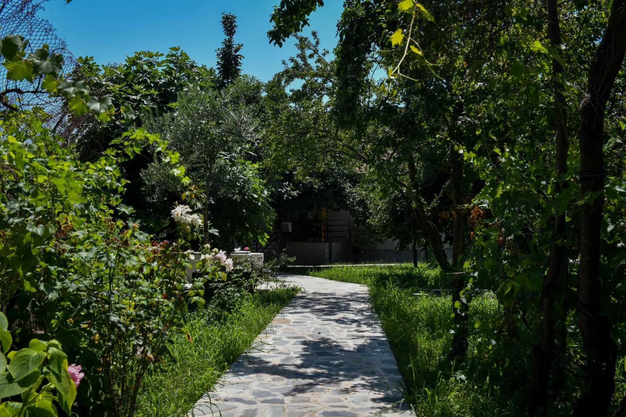 Nicolaus Hidden Gem Villa Shkodër Exterior foto