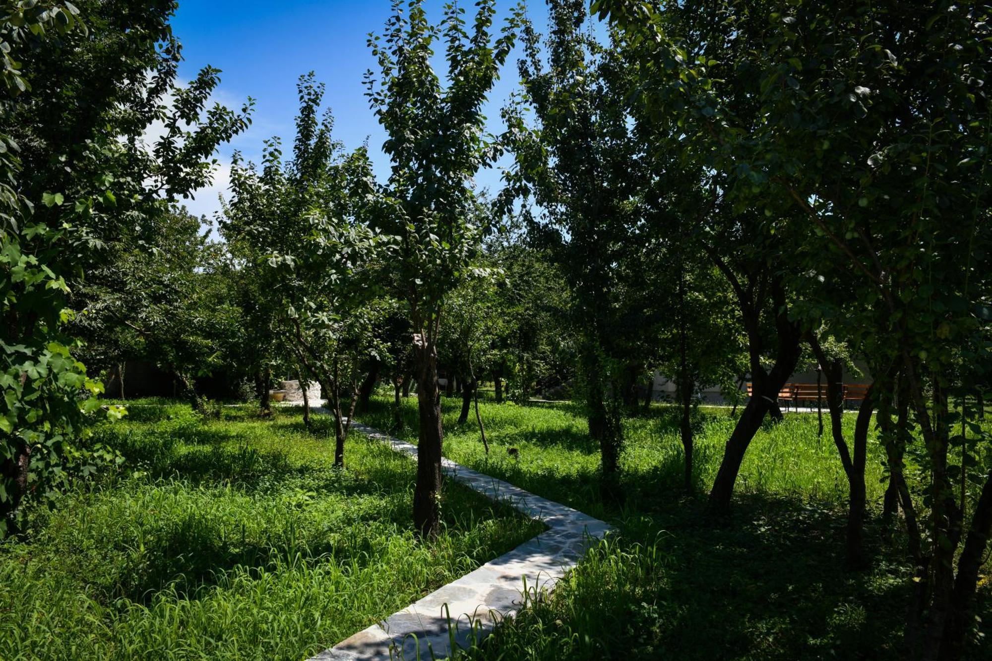 Nicolaus Hidden Gem Villa Shkodër Exterior foto